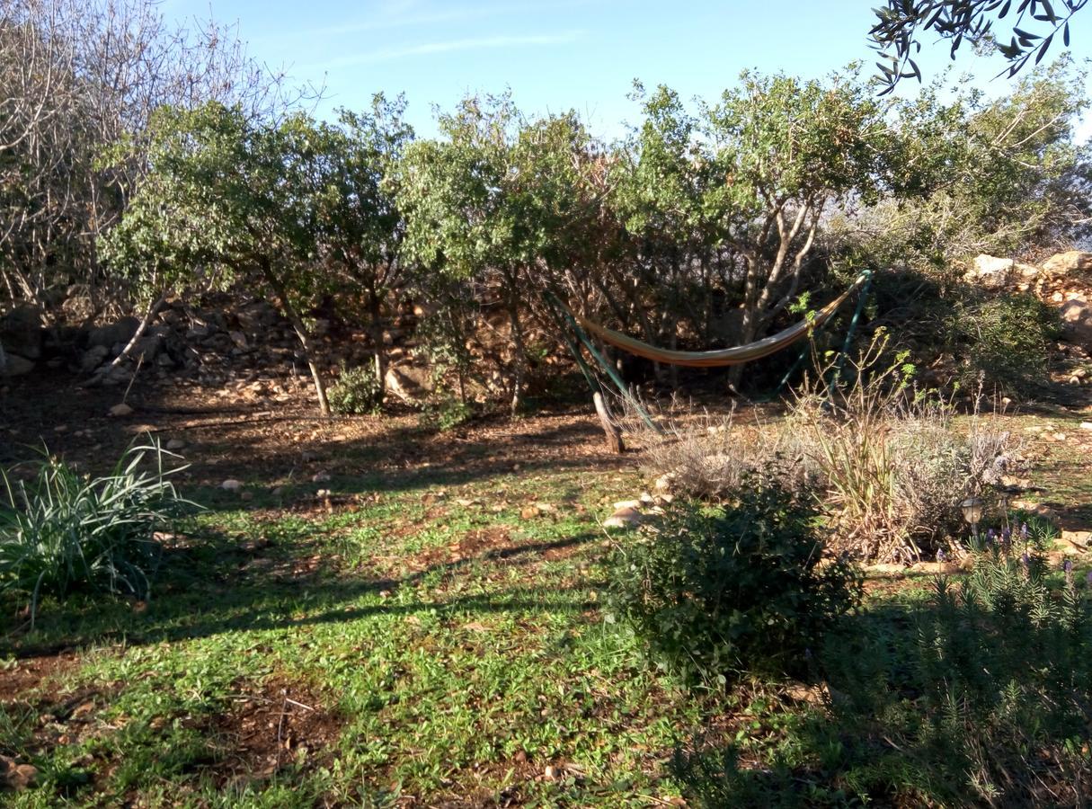 Cabin In The View Βίλα Hararit Εξωτερικό φωτογραφία