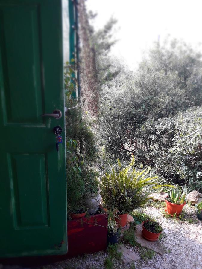 Cabin In The View Βίλα Hararit Εξωτερικό φωτογραφία