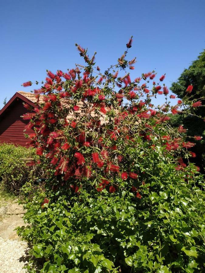 Cabin In The View Βίλα Hararit Εξωτερικό φωτογραφία